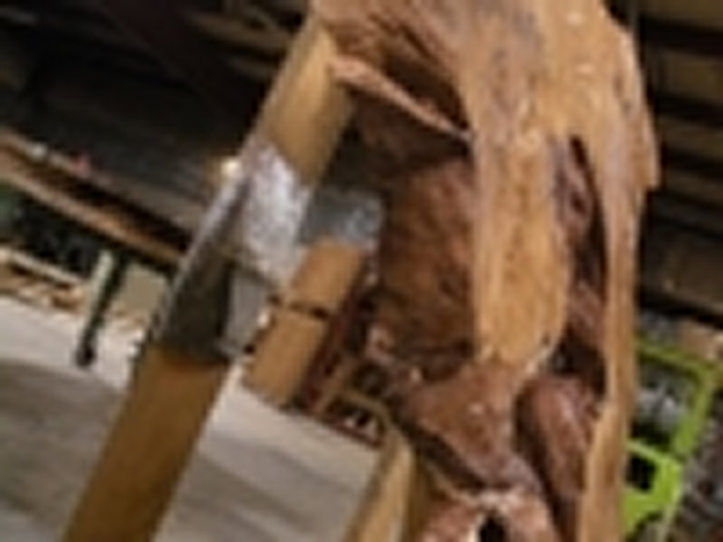 Dscn5520