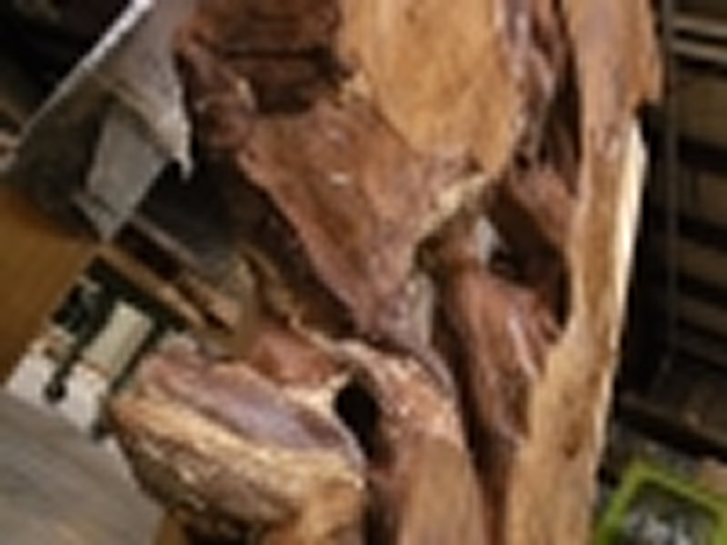 Dscn5521