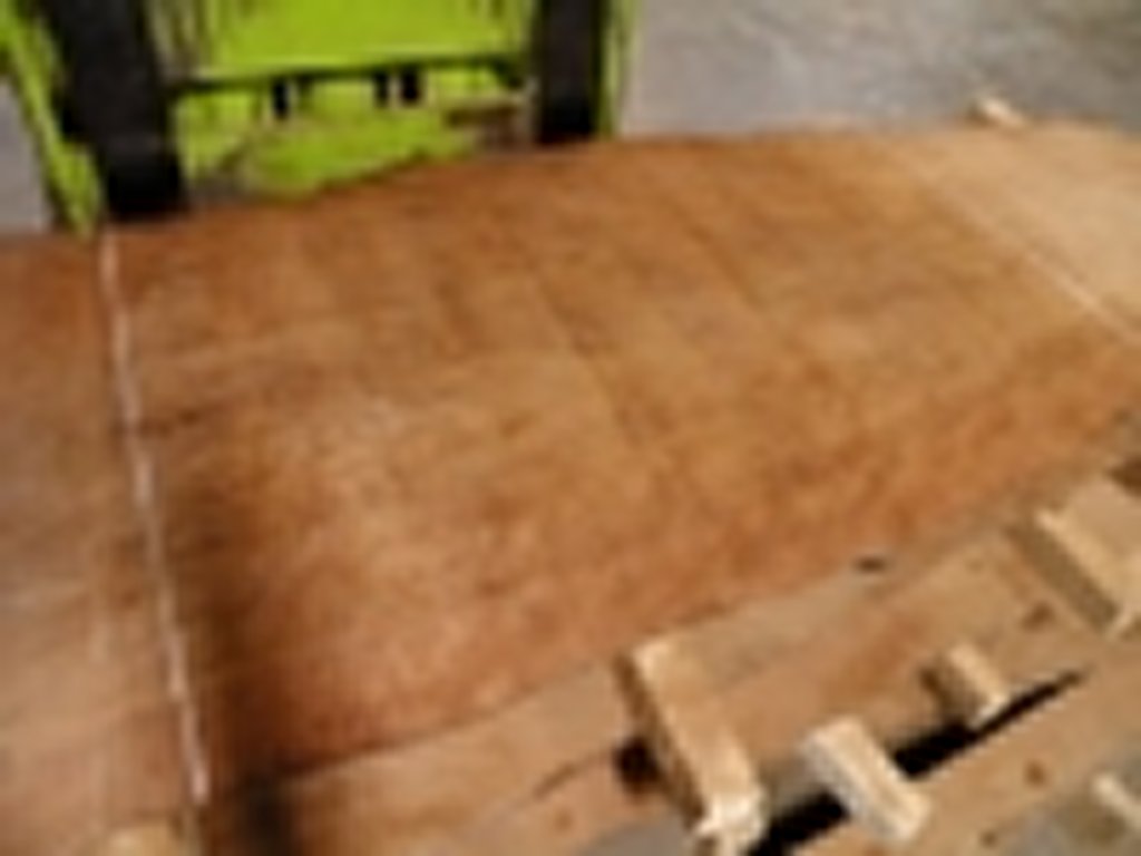 Dscn4455
