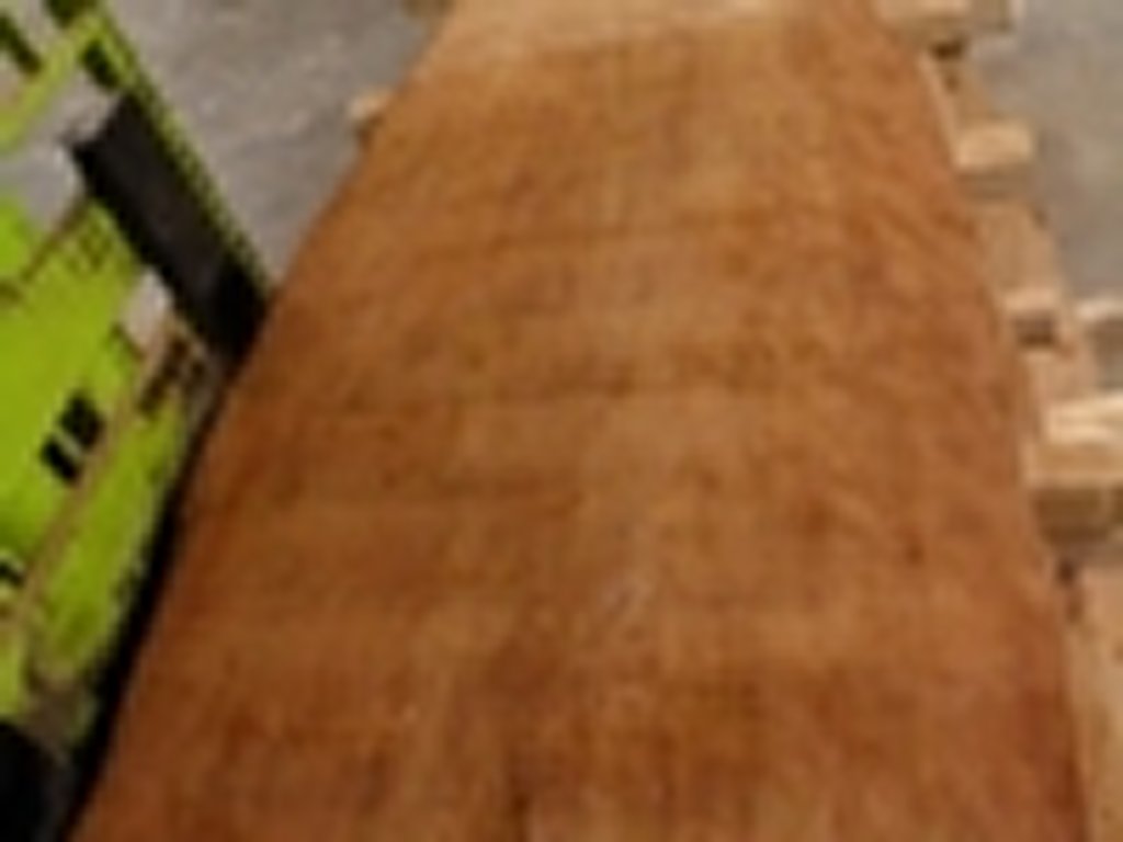 Dscn4456