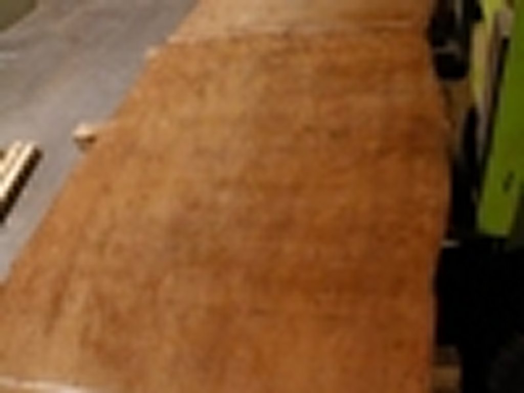 Dscn4459