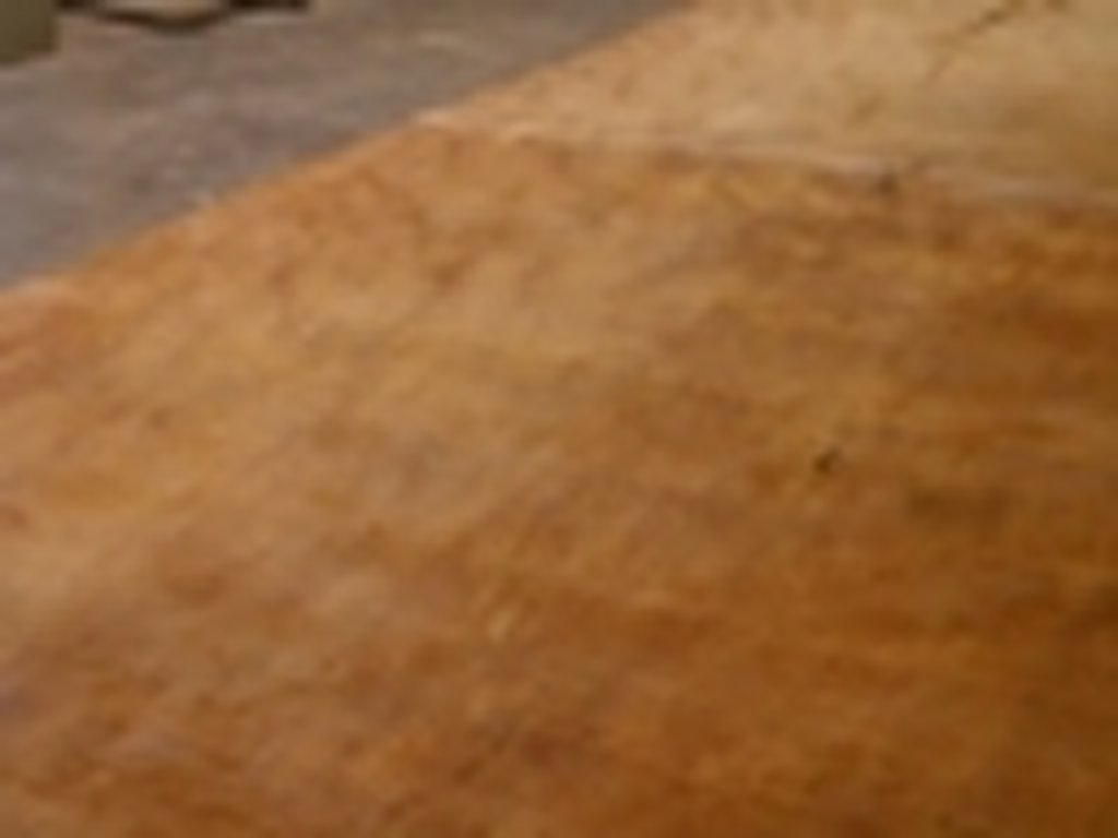 Dscn4460