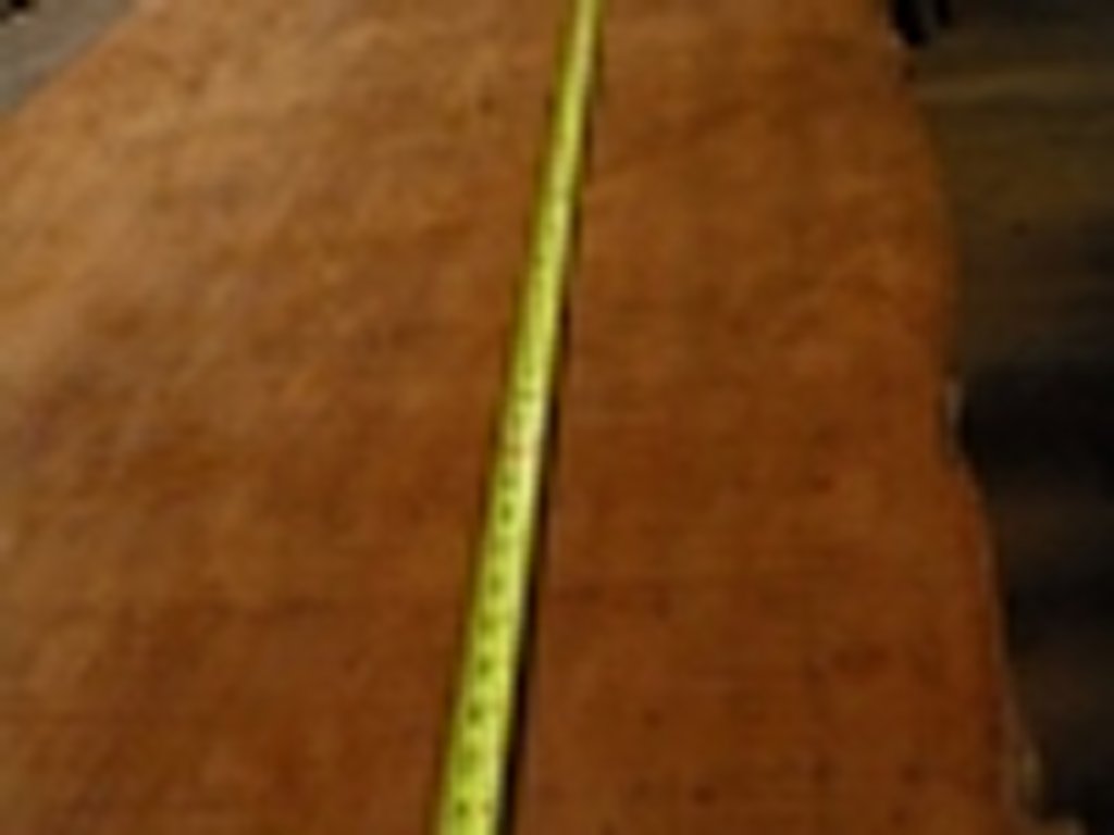 Dscn4478