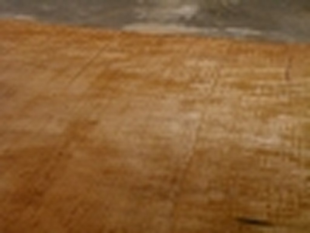 Dscn4481