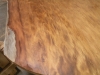 dscn8991