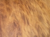 dscn8993