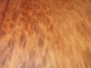 dscn8996