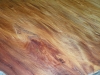 dscn9006