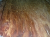 dscn9010