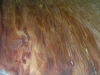 dscn9012