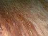 dscn9013