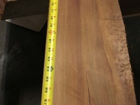 2.21.18__46