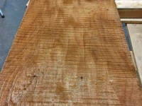 4674_Timber_12