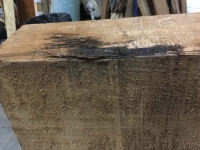 4674_Timber_14