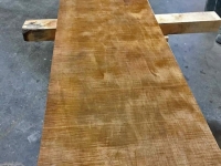 4674_Timber_17