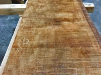 4674_Timber_23
