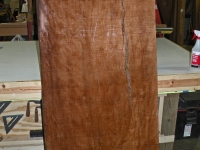 scott6