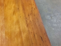 50,000_Year_Old_Bug_Holes__1