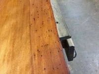 50,000_Year_Old_Bug_Holes__2