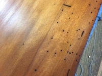 50,000_Year_Old_Bug_Holes__5