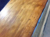 50,000_Year_Old_Bug_Holes__6