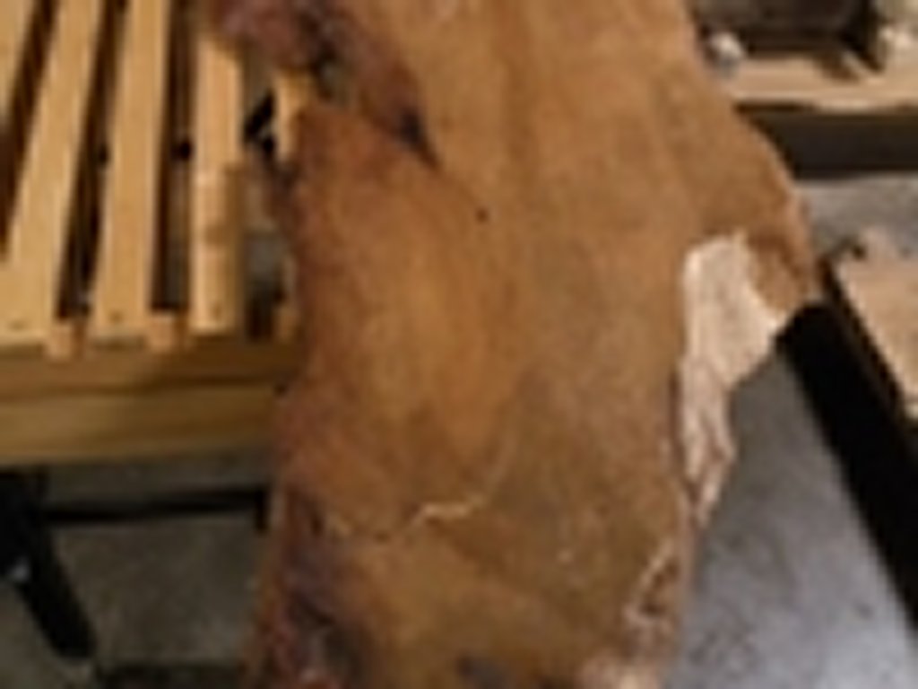 Dscn5467