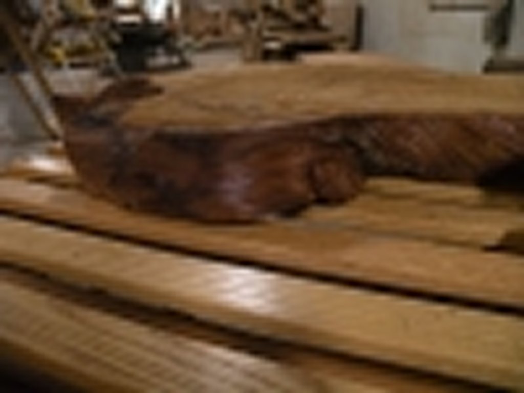 Dscn5471