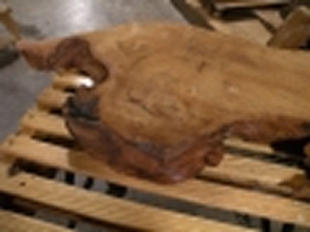 Dscn5473