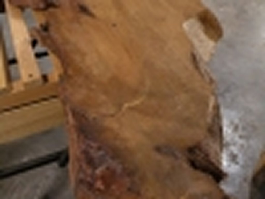 Dscn5474