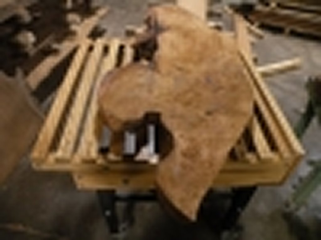 Dscn5477