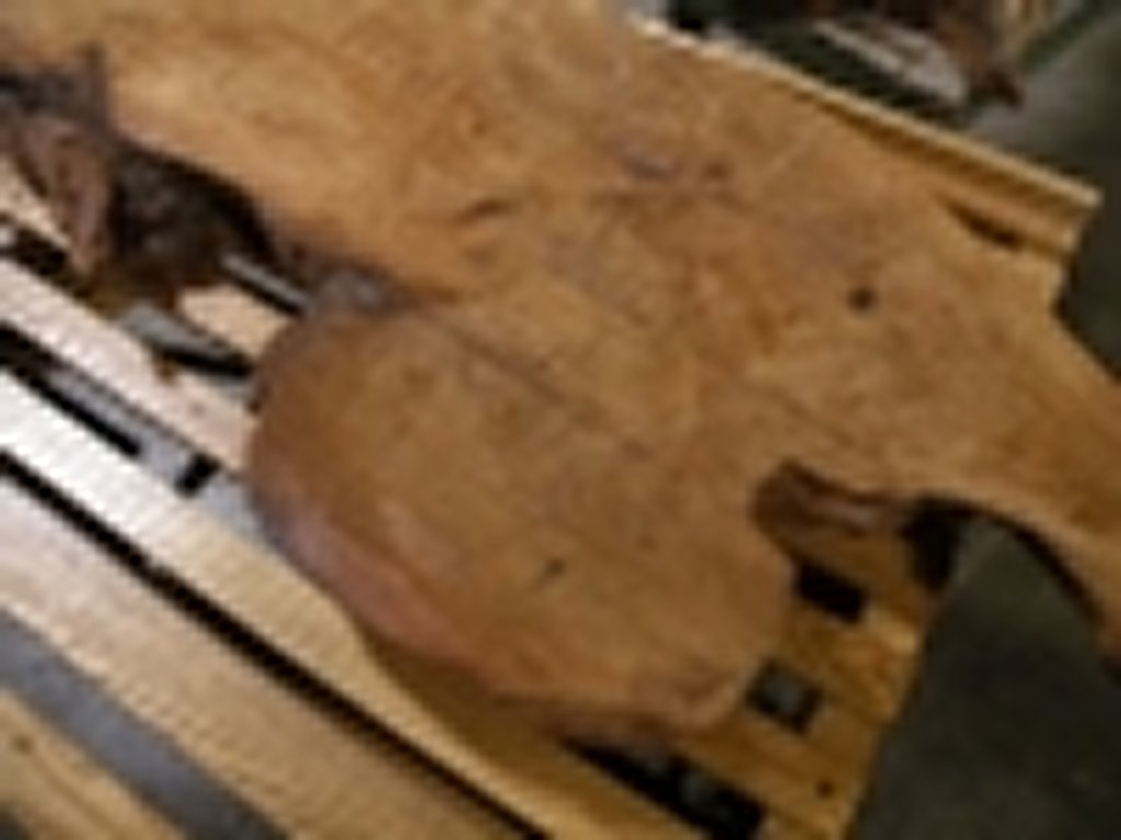 Dscn5479