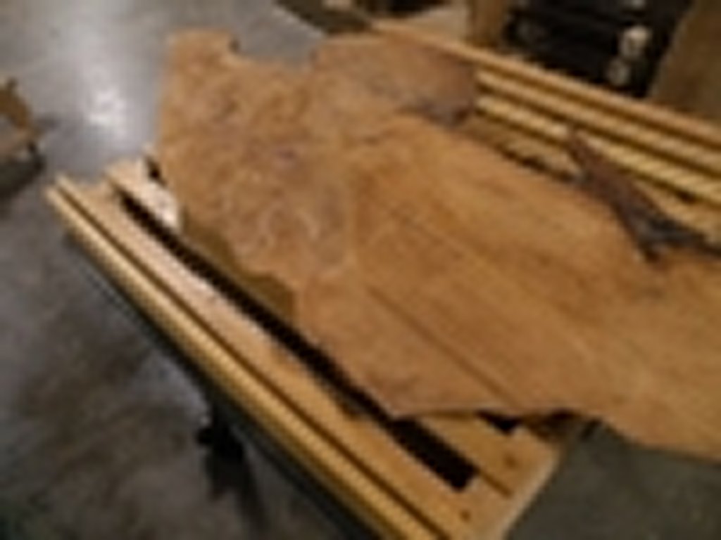 Dscn5481