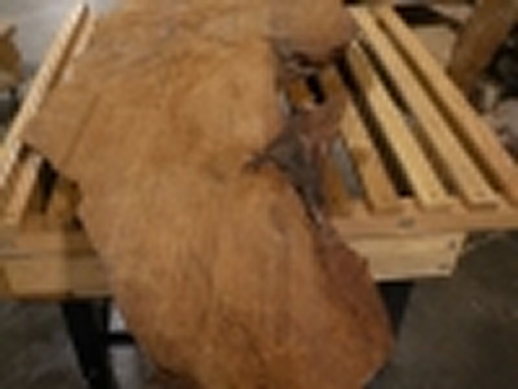 Dscn5482