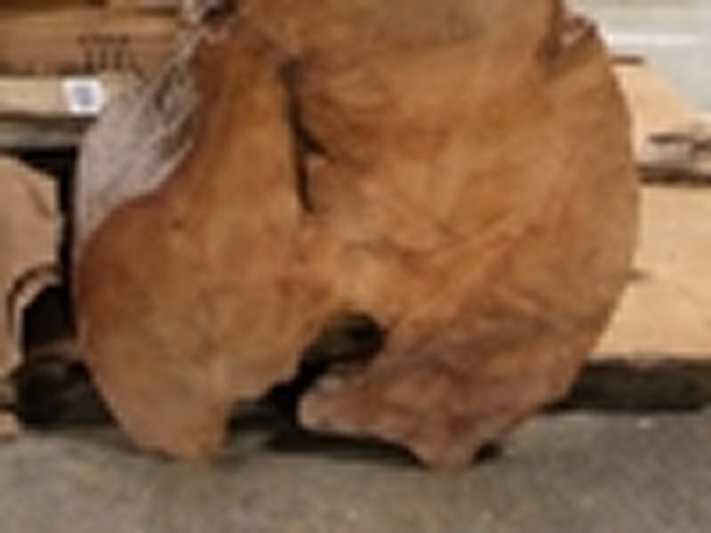 Dscn5409