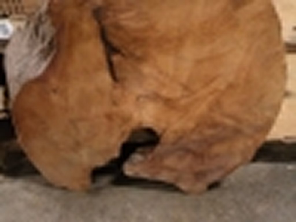 Dscn5410