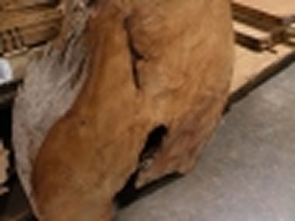 Dscn5411