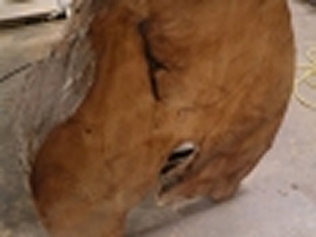 Dscn5412