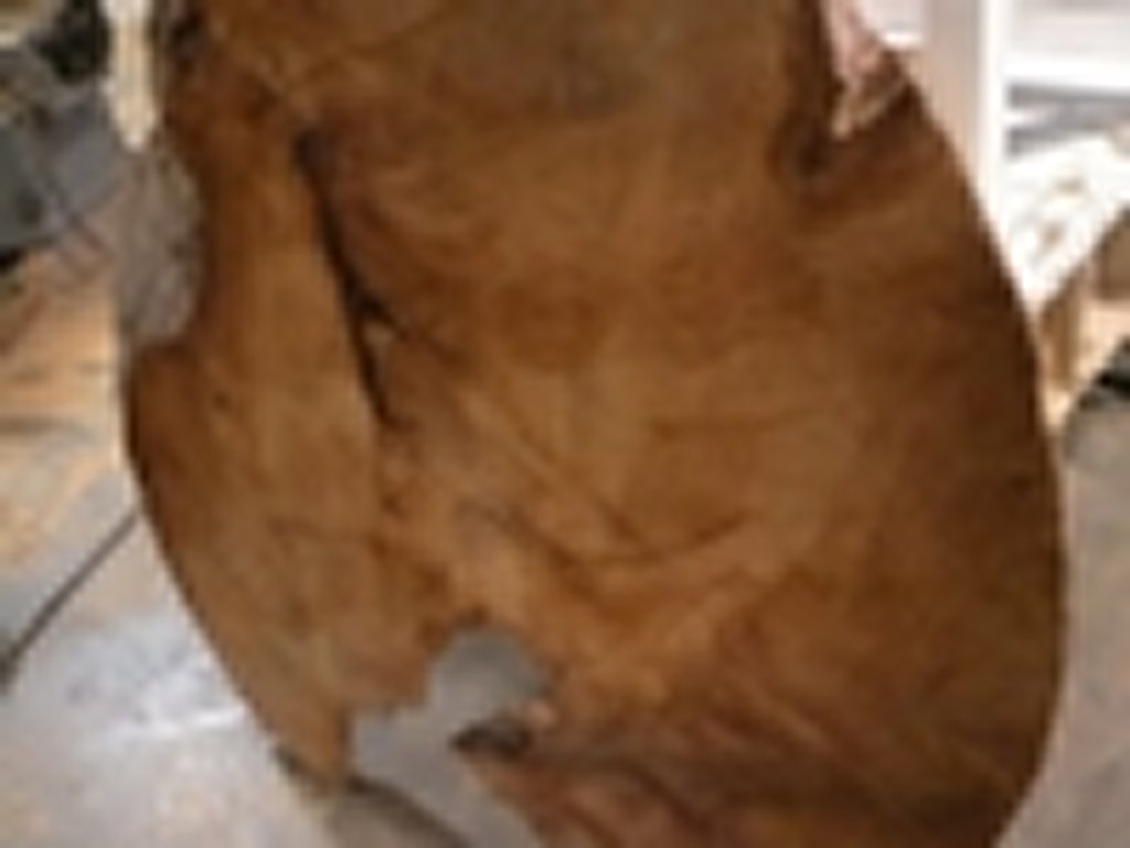 Dscn5413