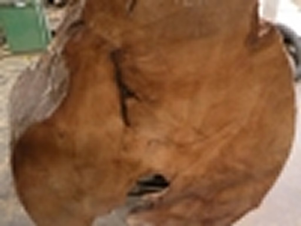 Dscn5414