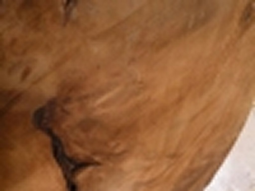 Dscn5415