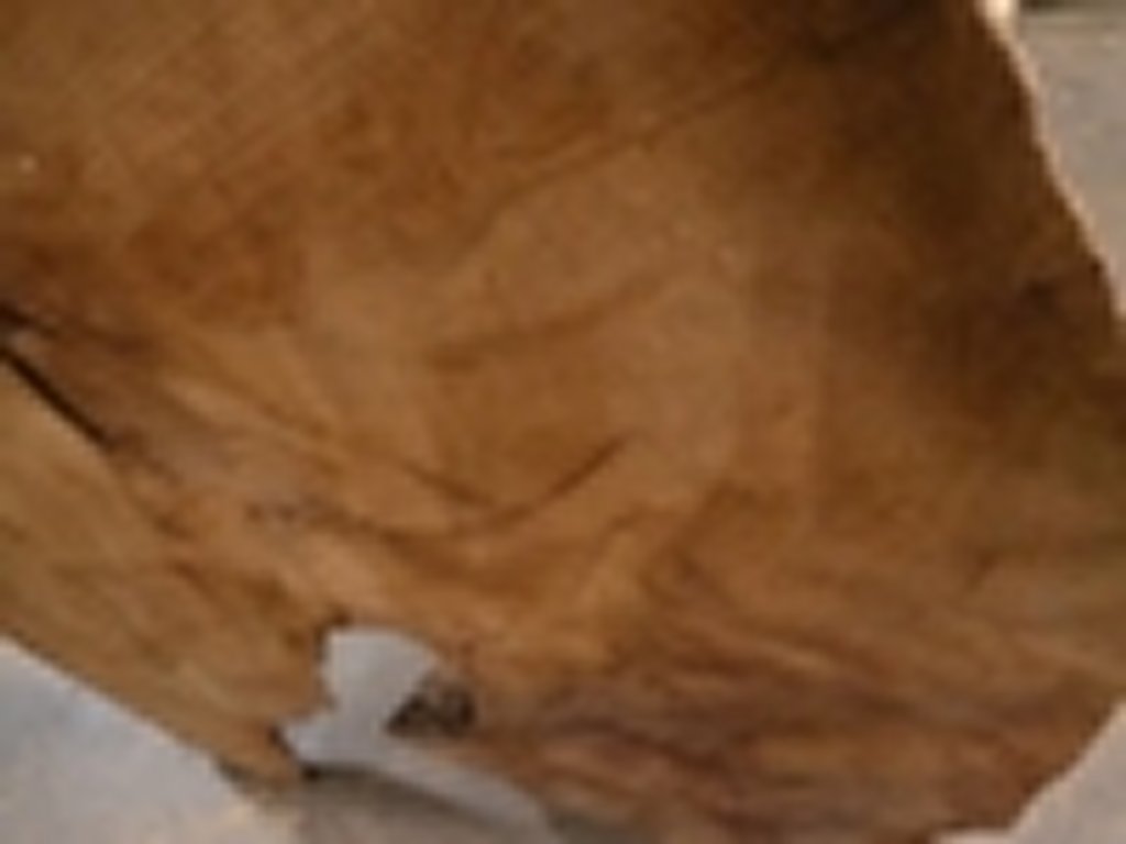Dscn5416