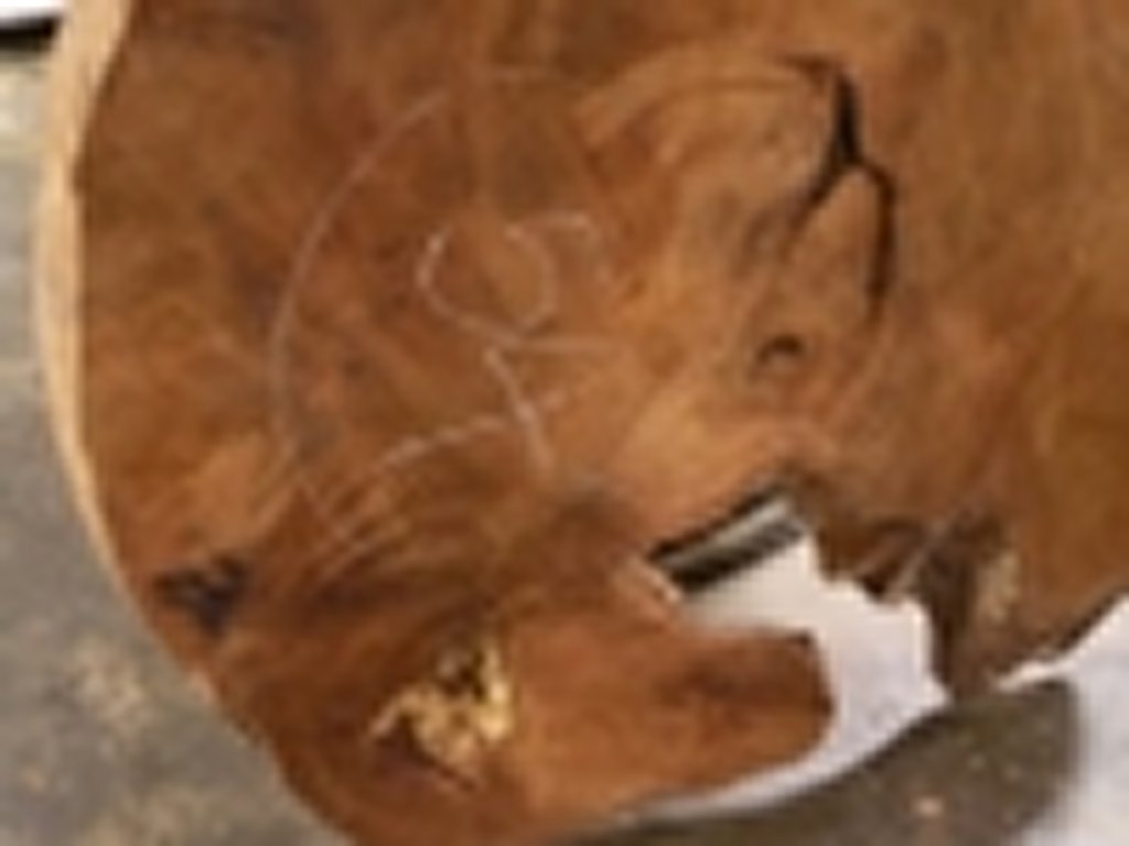 Dscn5418