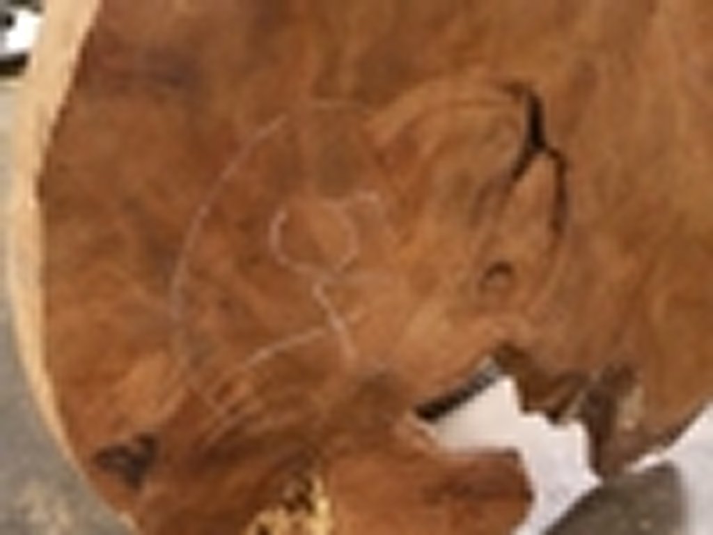 Dscn5419