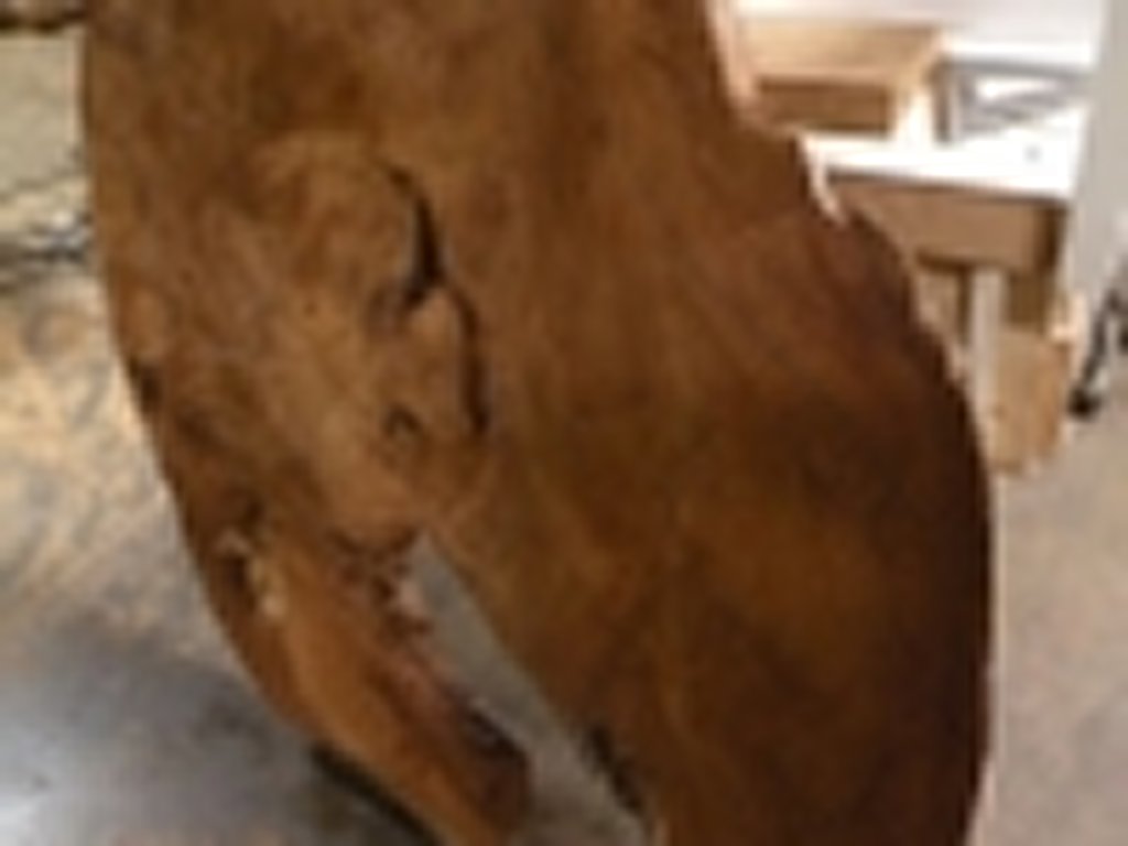 Dscn5420