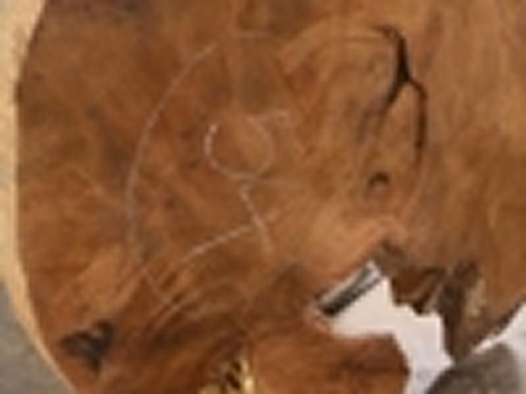 Dscn5423