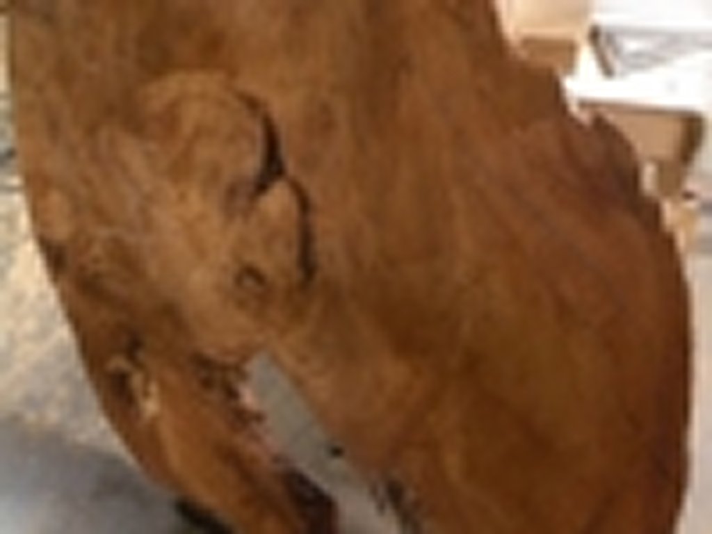Dscn5424