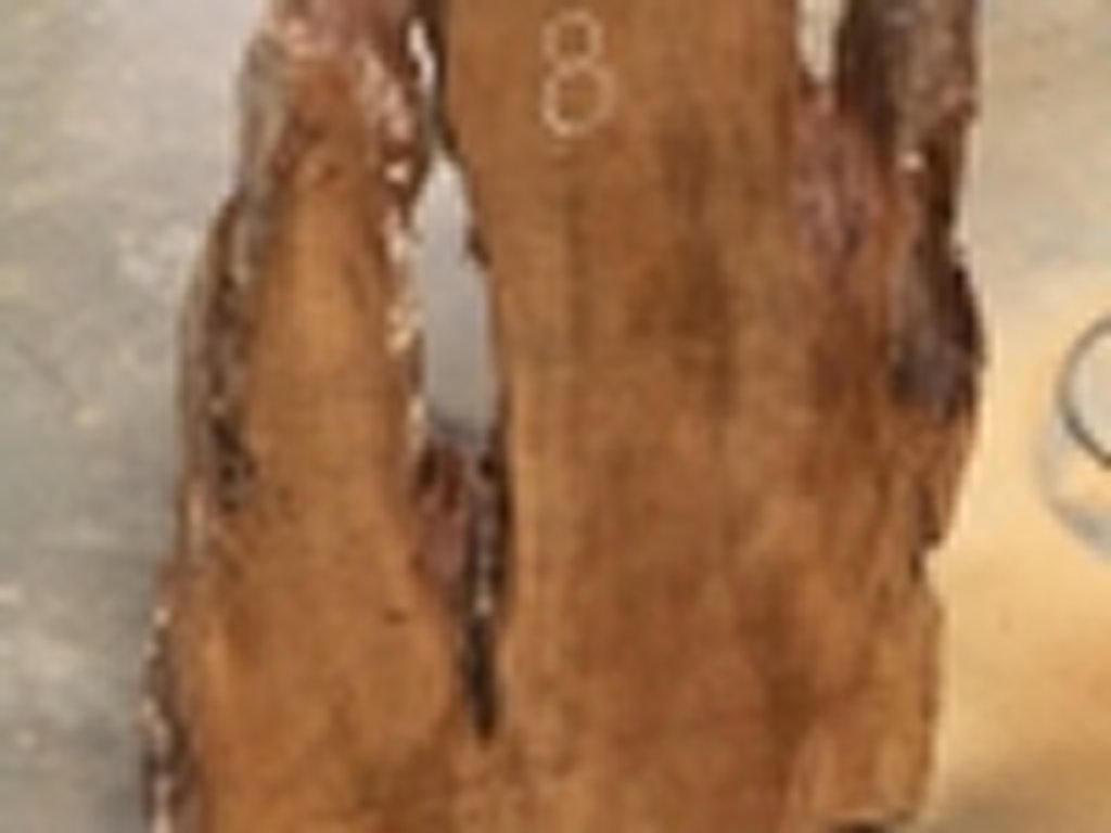 Dscn5425