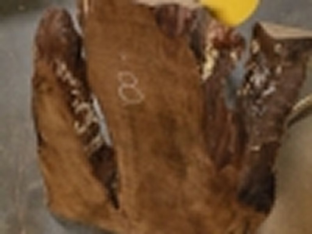 Dscn5426