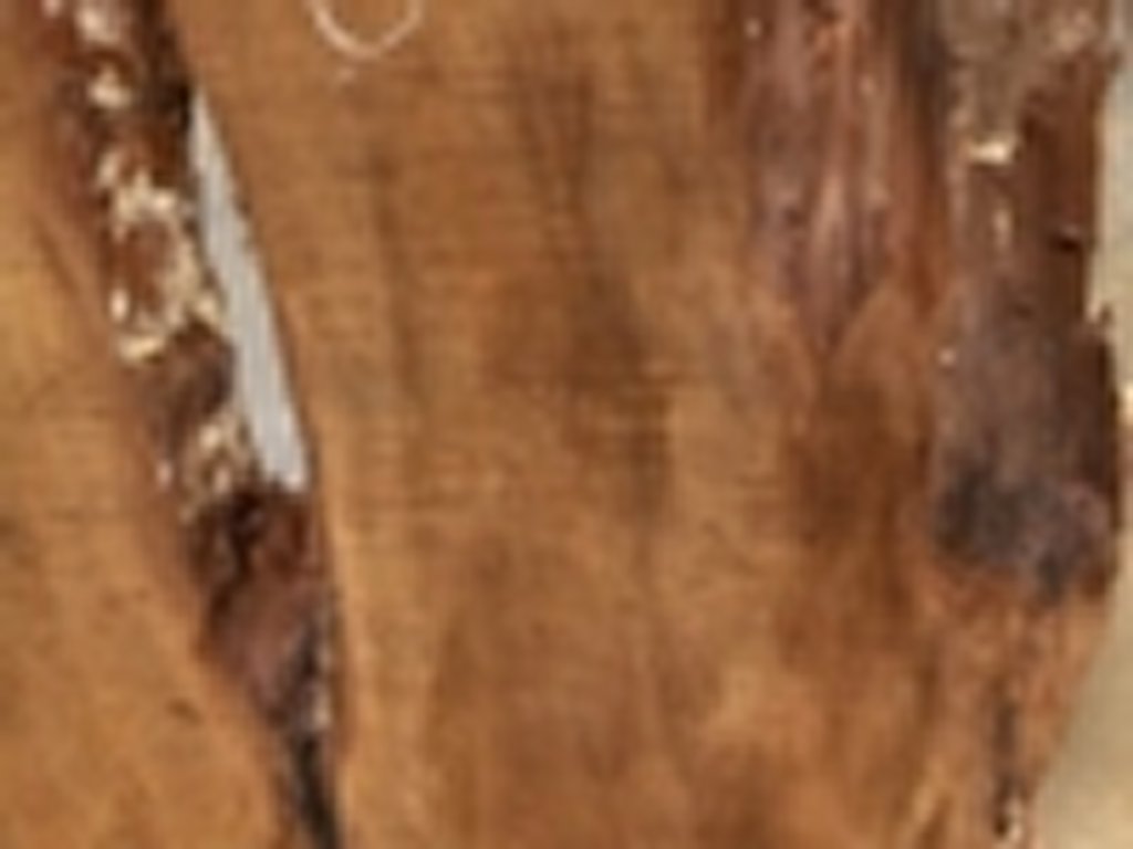 Dscn5427