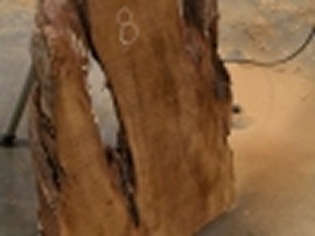 Dscn5428
